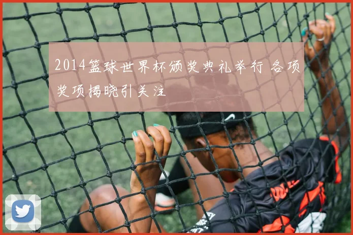 2014篮球世界杯颁奖典礼举行 各项奖项揭晓引关注