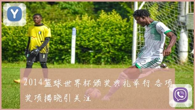 2014篮球世界杯颁奖典礼举行 各项奖项揭晓引关注